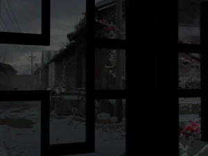 old house 3D Model