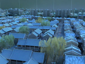 city building 3D Model