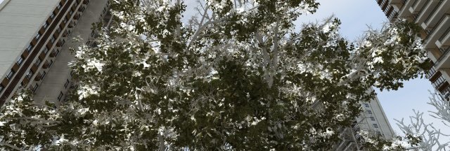 winter snow 3D Model .c4d .max .obj .3ds .fbx .stl .blend 