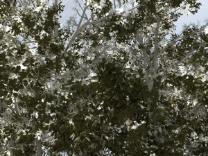 zimowy śnieg Model 3D