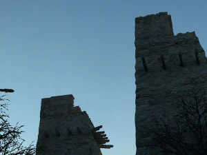 вежі 3D Модель