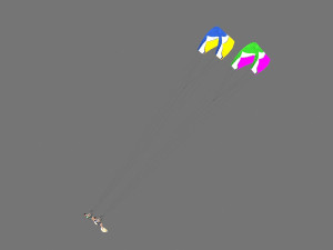 paragliding Modèle 3D