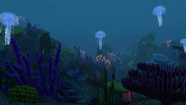 sea floor 3D Model .c4d .max .obj .3ds .fbx .stl .blend 