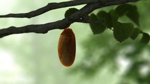 butterfly 3D Model .c4d .max .obj .3ds .fbx .stl .blend
