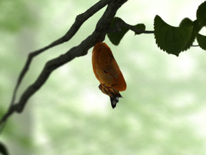 butterfly 3D Model