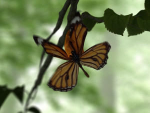 butterfly 3D Model