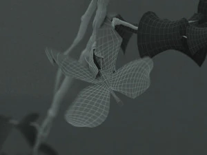 butterfly 3D Model