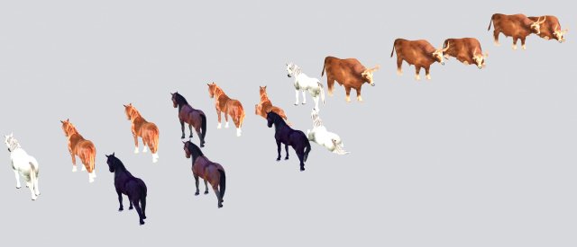 animal 3D 模型 .c4d .max .obj .3ds .fbx .stl .blend 