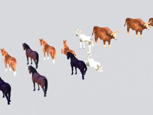animal 3D 모델