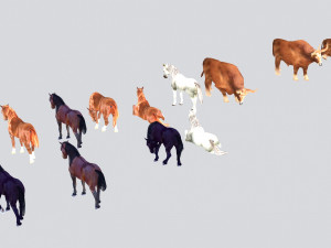 animal 3D 模型