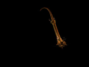 ドラゴン 3Dモデル