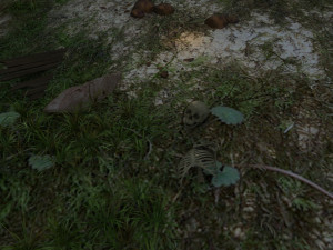 wreck Modelo 3D