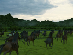 racecourse Modello 3D