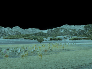 racecourse Modello 3D