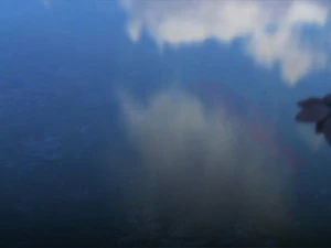 lotus pond 3D Model