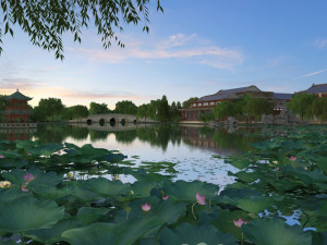 lotus pond 3Dモデル