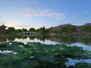 lotus pond Model 3D