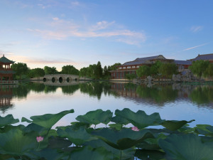 lotus pond Model 3D
