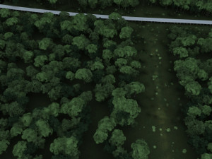 construction of bridges 3Dモデル