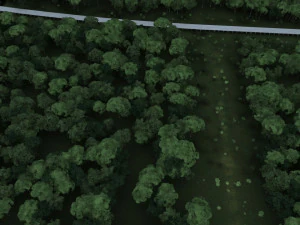 construction of bridges 3D Model