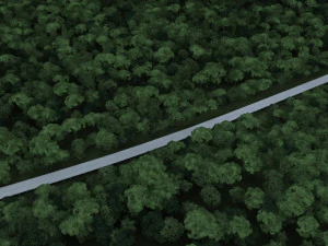 construction of bridges 3D Model