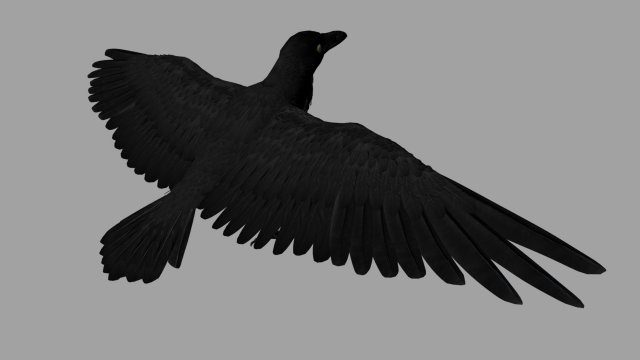 raven Modelo 3D .c4d .max .obj .3ds .fbx .stl .blend 