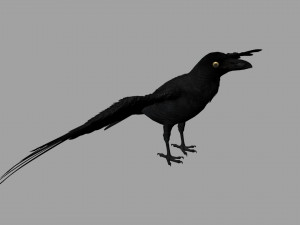 raven Modelo 3D