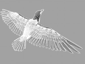 raven Modelo 3D