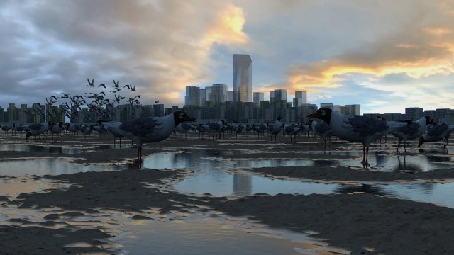 seagulls Modelo 3D .c4d .max .obj .3ds .fbx .stl .blend 