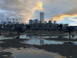 seagulls 3D Model