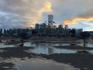 seagulls Modelo 3D