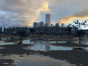 सीगल 3D मॉडल