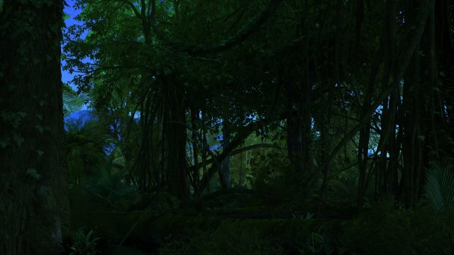 rainforest 3D 모델 .c4d .max .obj .3ds .fbx .stl .blend 