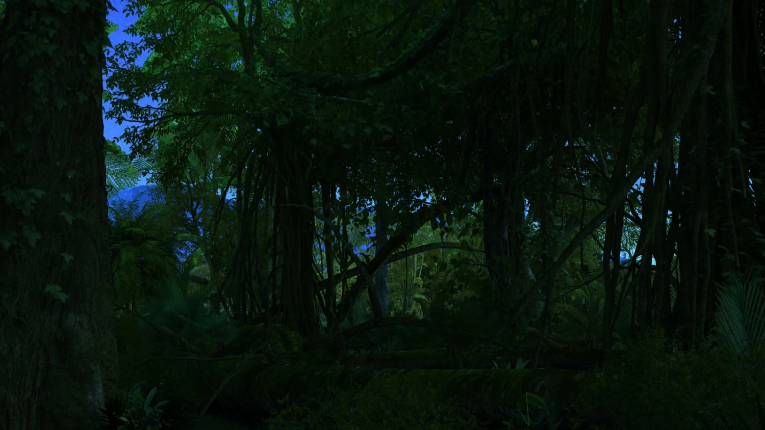 rainforest 3D Model .c4d .max .obj .3ds .fbx .stl .blend 