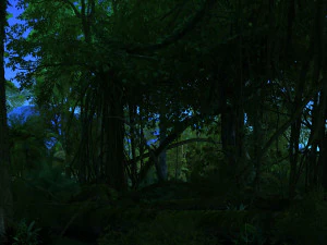 floresta tropical Modelo 3D