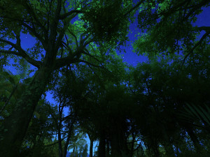 rainforest 3D 모델