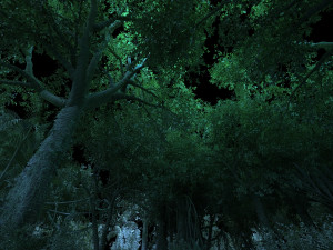 rainforest 3D 모델
