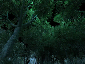 rainforest 3D Model