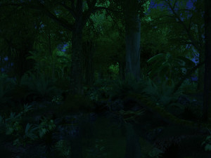 rainforest 3Dモデル