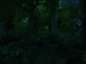 selva tropical Modelo 3D