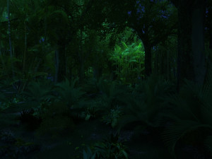 rainforest Modèle 3D