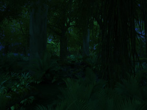 rainforest Modèle 3D