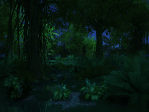 rainforest Modèle 3D