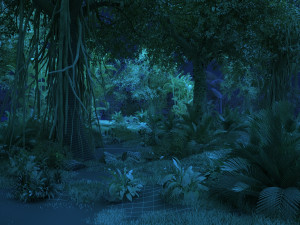 rainforest Modèle 3D