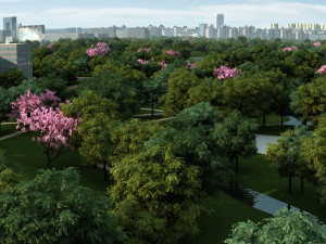 city lakes 3D Model