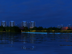 lake night view 3D Model