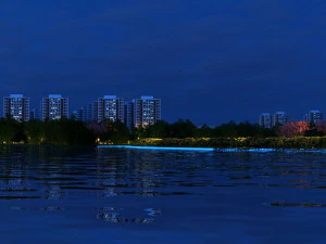 Blick auf den See bei Nacht 3D Modell