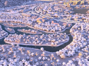 small town 3D 模型
