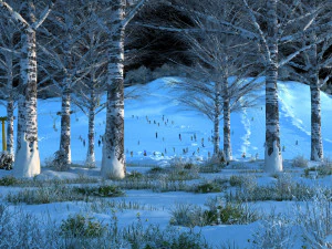 гірськолижний заклад 3D Модель