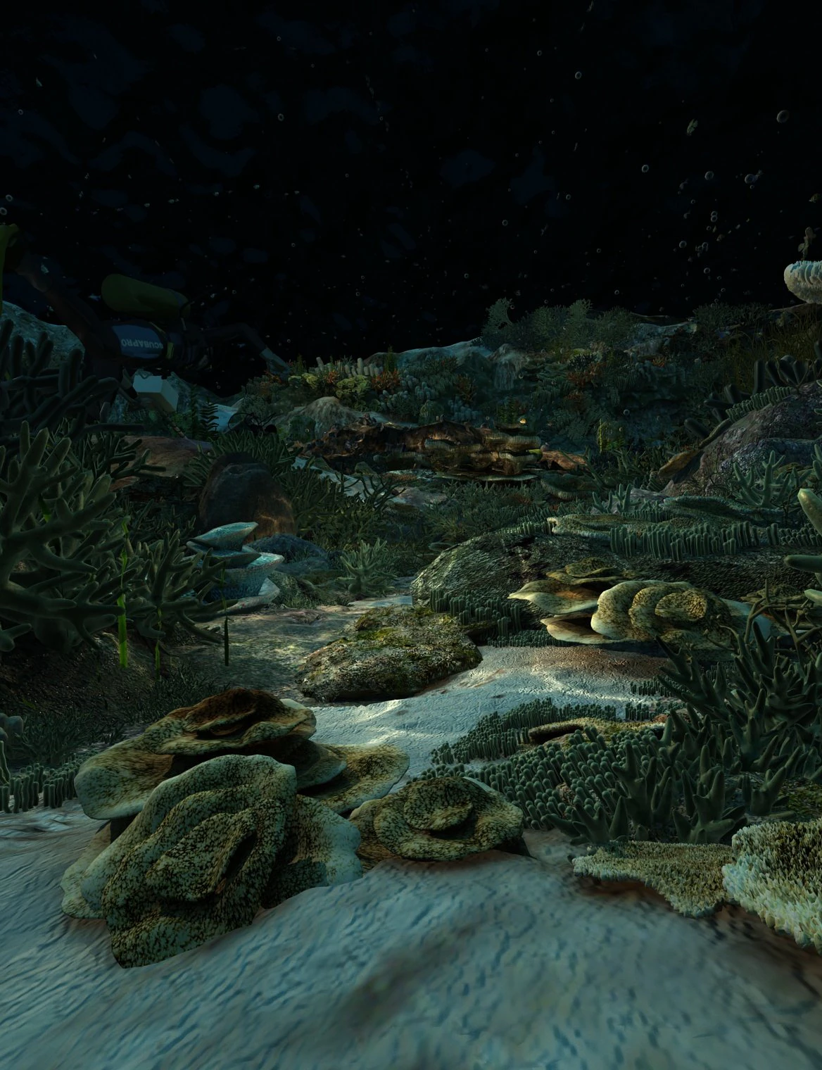 shipwreck under the sea 3D Model .c4d .max .obj .3ds .fbx .stl .blend 